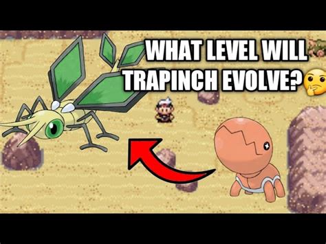 trapinch evolution level|what level does trapinch evolve emerald.
